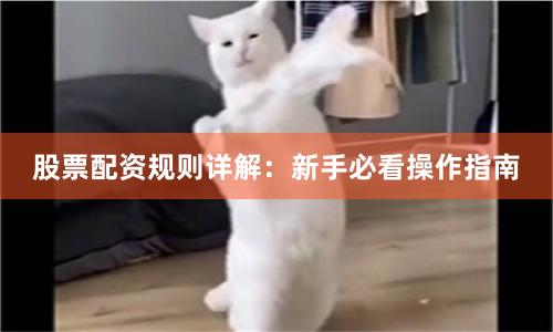 股票配资规则详解：新手必看操作指南